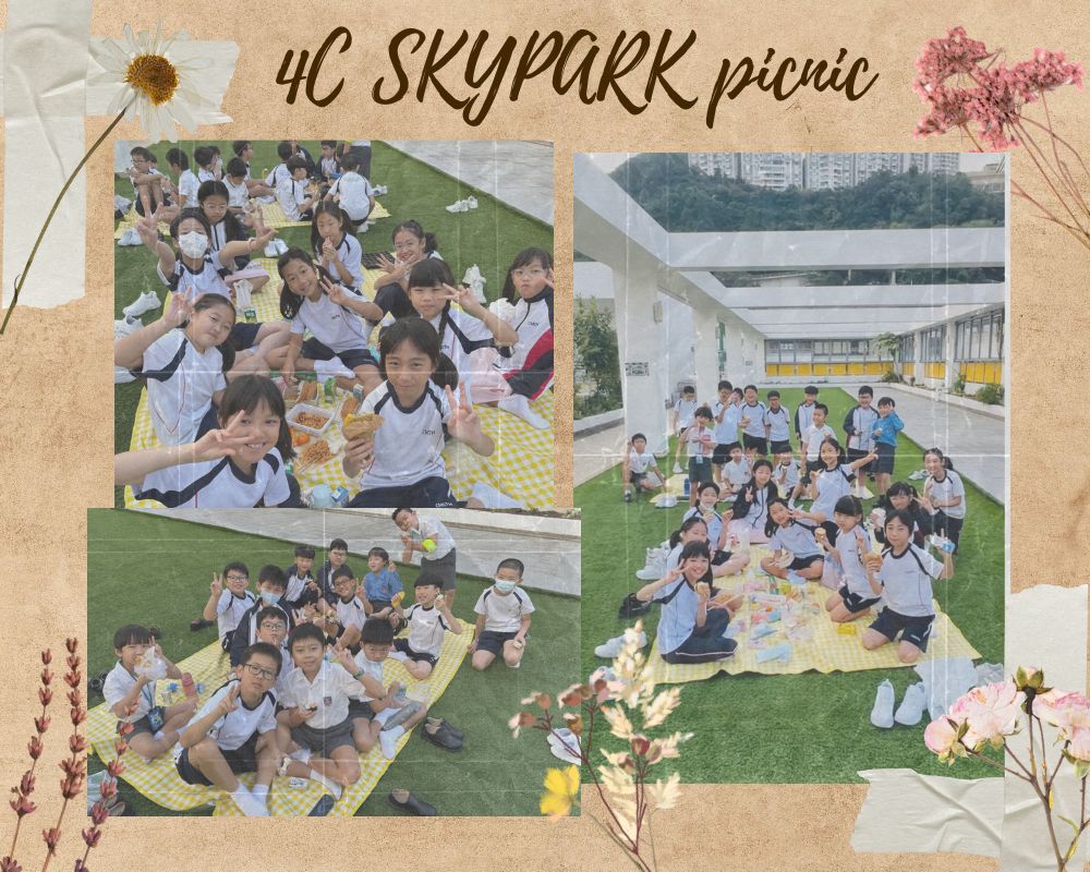 20241126skyparkpicnic4C